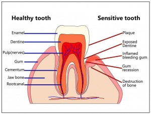 Los-Angeles-Dentist-300x226